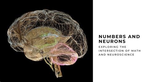  Synapse Story: Yli 200 pulmaa ja neurotieteen syväsukellus!